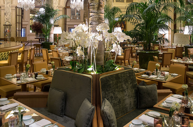 The Palm Court