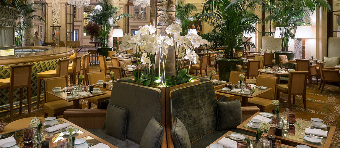 The Palm Court