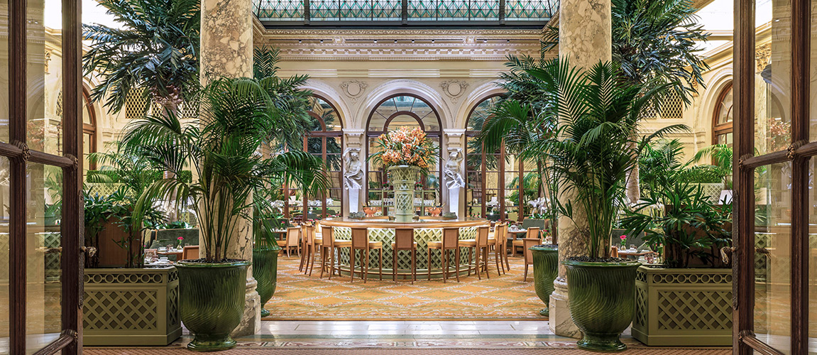 The Palm Court