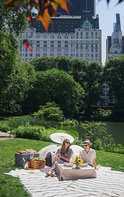 Special Offer: Perfect Plaza Picnic