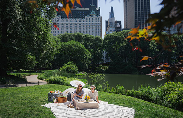 Perfect Plaza Picnic