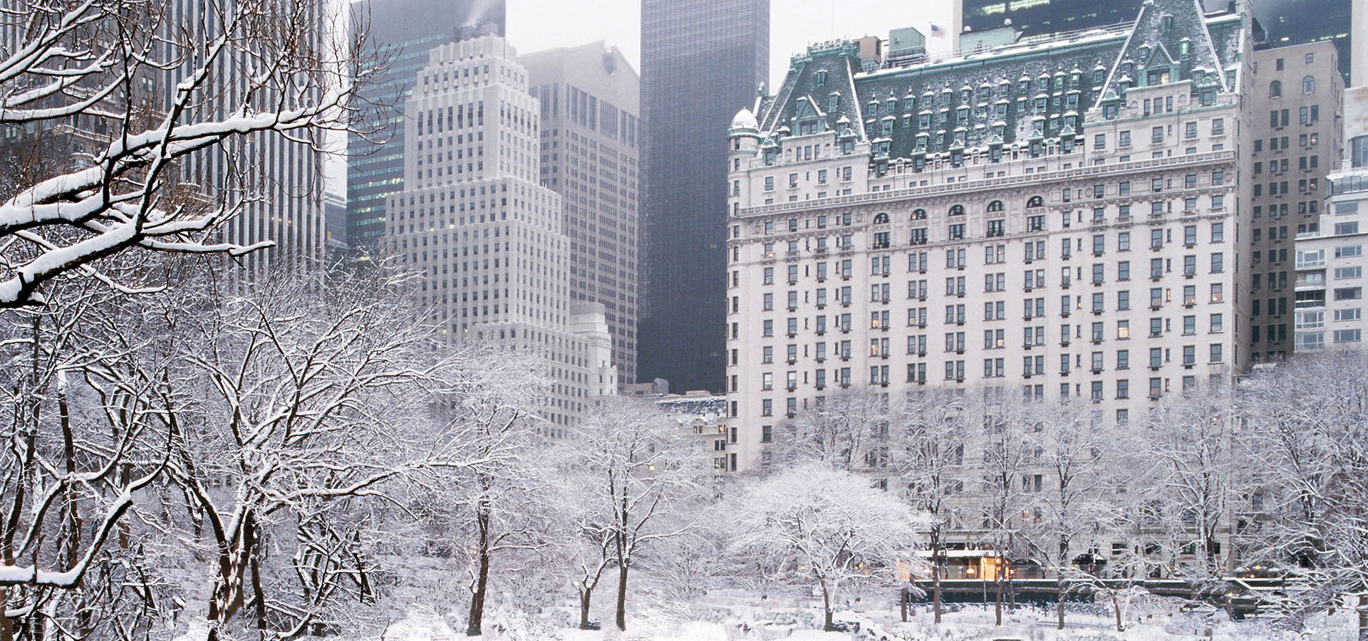 demode ÅŸamandÄ±ra peyzaj park place hotel new york Tektonik tahliye kazanÃ§