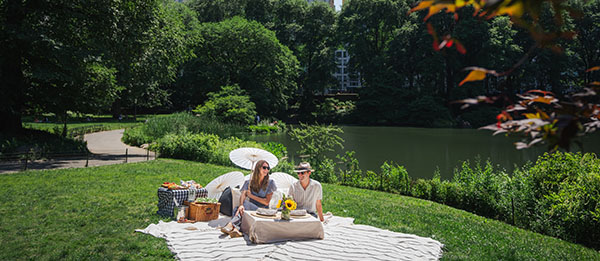 Perfect Plaza Picnic                                                                         