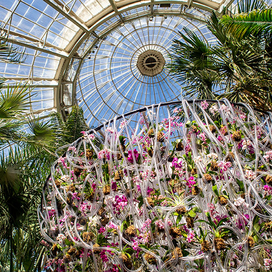 The Orchid Show: Florals in Fashion