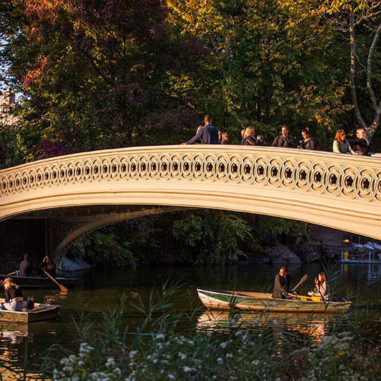 Right By Central Park