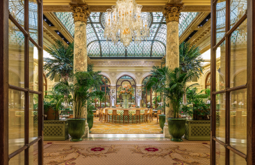 The Palm Court