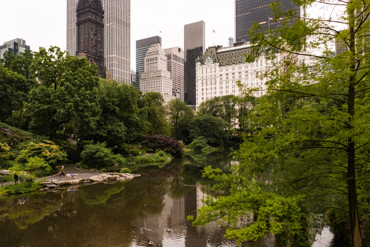At the Heart of New York History